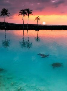 Hawaii