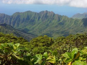 Waianae